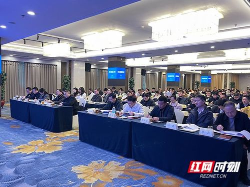 深化改革強服務，擘畫健康新藍圖——株洲市2026年全市衛生健康工作會議圓滿召開